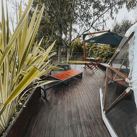 Domus Glamping Guatape Hotel Eksteriør billede