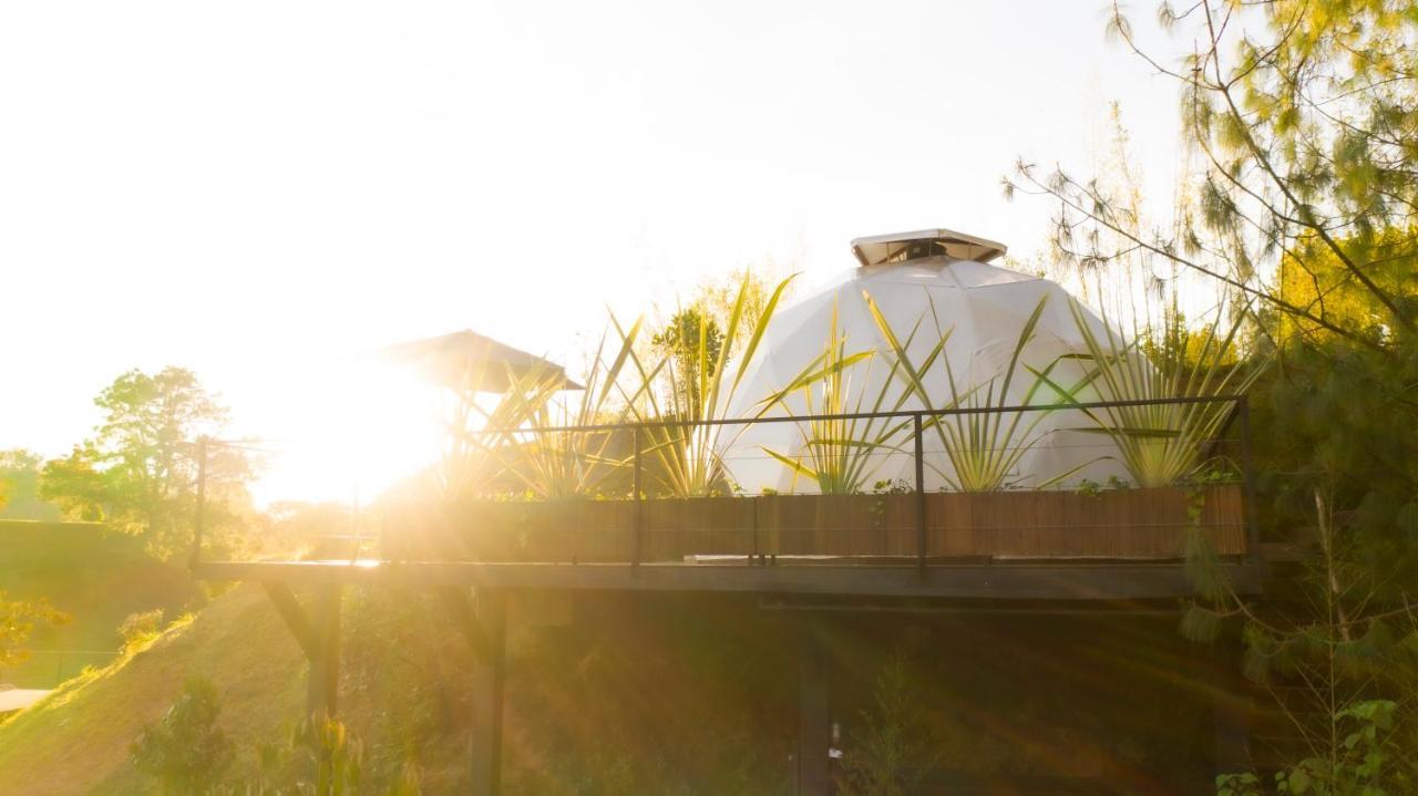 Domus Glamping Guatape Hotel Eksteriør billede